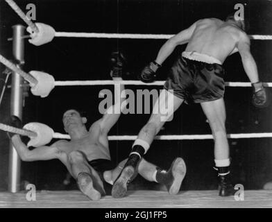 Alphonse Halimi , ehemaliger algerischer Inhaber des World Bantamweight Title , trifft die Leinwand in der fünfzehnten Runde seiner Titelverteidigung gegen Johnny Caldwell von Belfast im Empire Pool , Wembley , London . Caldwell gewann den Kampf und den Titel auf Punkte. 31 Mai 1961 Stockfoto