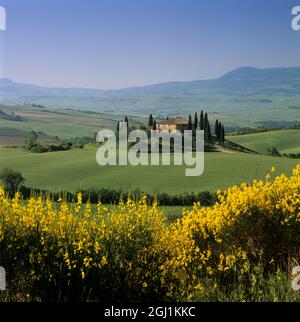 Toskanisches Bauernhaus mit Zypressen und Frühlingslandschaft, San Quirico d'Orcia, Provinz Siena, Toskana, Italien, Europa Stockfoto