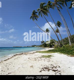 Weißer Sandstrand mit Palmen und türkisfarbenem Wasser auf Bora Bora, Leeward Islands, Polynesien Stockfoto