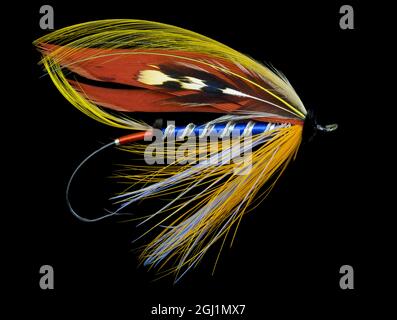 Atlantic Salmon Fly Designs „Bluebell“ Stockfoto