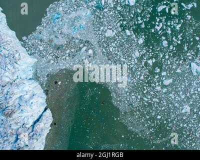 USA, Alaska, Tracy Arm-Fords Terror Wilderness, Luftaufnahme von Eisbergen, die von der blauen Eiswand des Dawes Glacier in Endicott Arm abgekalbt wurden Stockfoto