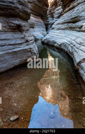 USA, Arizona. Reflexionen im Matkatamiba Canyon, Grand Canyon National Park. Stockfoto