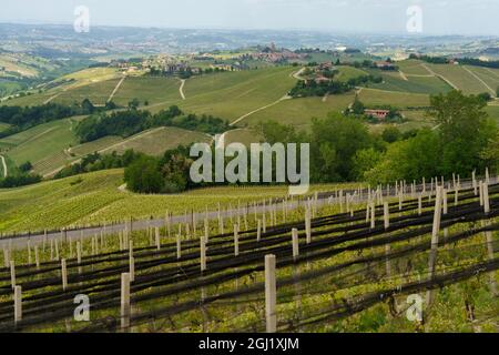 Ländliche Landschaft im Frühling in Langhe bei Dogliani, Provinz Cuneo, Piemont, Italien, UNESCO-Weltkulturerbe. Stockfoto