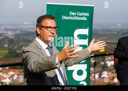 08. September 2021, Baden-Württemberg, Müllheim: Peter Hauk (CDU), Minister für Ernährung, ländliche Räume und Verbraucherschutz, spricht während der Herbstpressekonferenz des Weinbauverbandes Baden. Foto: Philipp von Ditfurth/dpa Stockfoto