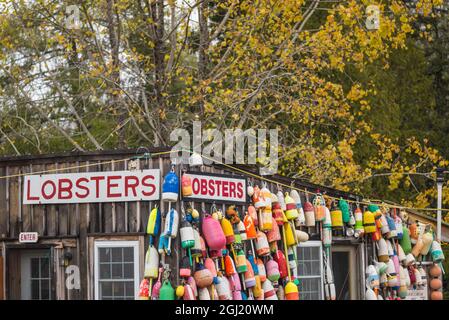 USA, Maine, Mt. Desert Island. Eden, traditionelles Meeresfrüchte-Restaurant mit Hummerhütte im Herbst. Stockfoto
