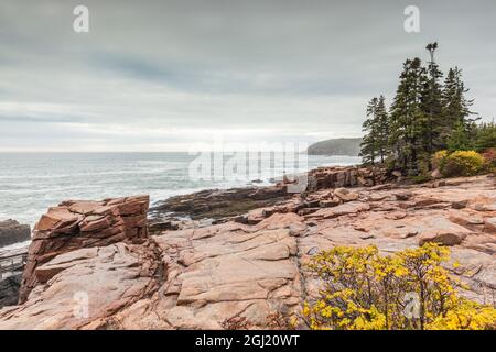 USA, Maine, Mt. Desert Island. Acadia National Park, Blick auf die Küste bei Thunder Hole. Stockfoto