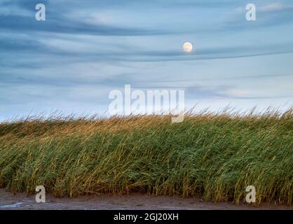 USA, Massachusetts, Cape Cod, Vollmond am First Encounter Beach Stockfoto