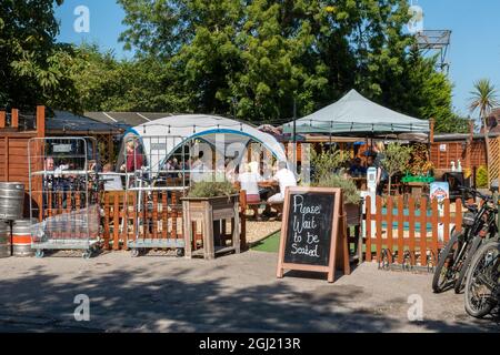 Geschäftiges Pub-Garten an einem sonnigen Septembertag im Foresters Arms Pub in Brockenhurst im New Forest, Hampshire, England, Großbritannien Stockfoto