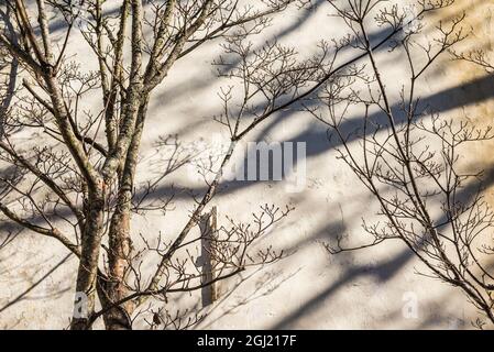 USA, Massachusetts, Nantucket Island. Nantucket Town, Wanddetail. Stockfoto