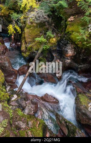 USA, Montana. Lawinen Creek, Glacier National Park. Stockfoto