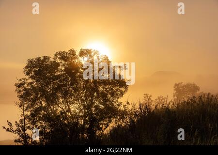 Nebliger Sonnenaufgang über dem Little Missouri River im Theodore Roosevelt National Park, North Dakota, USA. Stockfoto