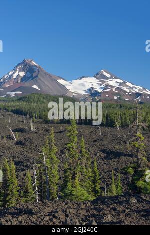 USA, Oregon. Three Sisters Wilderness, North (links) und Middle Sister (rechts) ragen über Nadelbäumen und Lavastrom in der Nähe des McKenzie Passes auf. Stockfoto