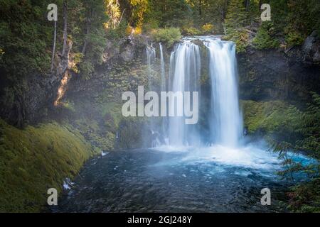 USA, Oregon, Cascade Range, Linn County, Willamette National Forest. Koosah Falls am McKenzie River. Stockfoto