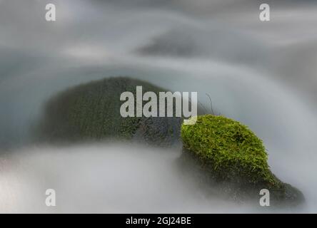 Lange Exposition von Wasser, das über moosigen Felsen in Olallie Creek in der Nähe des McKenzie River, Willamette National Forest, Cascade Mountains, Oregon, stürzt. Stockfoto