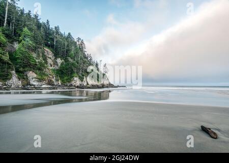 USA, Oregon. Oswald West State Park, Short Sand Beach. Stockfoto