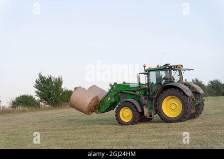 Der Landwirt verwendet den Traktor, um im Herbst in England nach der Ernte die Lorbeerballen zu vergießen Stockfoto
