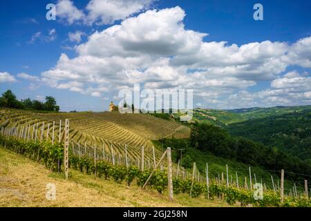 Ländliche Landschaft im Frühling in Langhe bei Dogliani, Provinz Cuneo, Piemont, Italien, UNESCO-Weltkulturerbe. Stockfoto