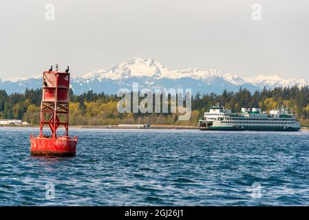 USA, Staat Washington, Puget Sound. Washington State Fähre Bremerton nach Seattle in Rich Passage. Die Brothers Olympic Mountains. Kormorane Barsch Chan Stockfoto