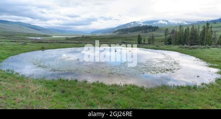 Yellowstone National Park, Lamar Valley. Ein Blick auf das Lamar-Tal im Frühling. Stockfoto