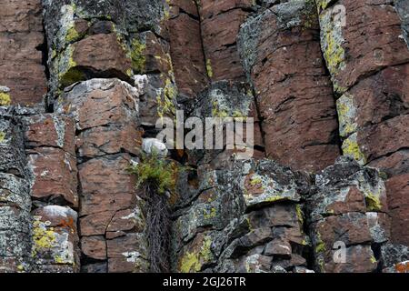 USA, Wyoming. Sheepeater Cliffs Detail, Yellowstone National Park. Stockfoto