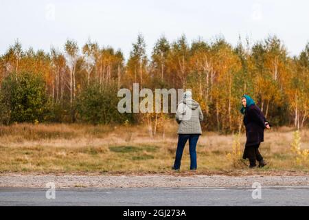 Unschärfe-Effekte von zwei Frauen bei einem Spaziergang in der herbstlichen Natur. Herbsthintergrund. Zwei Frauen, die im Herbstwald entlang der Straße spazieren. Rückansicht. Von f Stockfoto