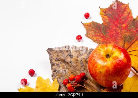 Herbstliche Kunstkomposition - abwechslungsreiche getrocknete Blätter, Kürbisse, Früchte, Vogelbeeren auf weißem Hintergrund. Herbst, Herbst, halloween, Danksagetag Konzept. Stockfoto