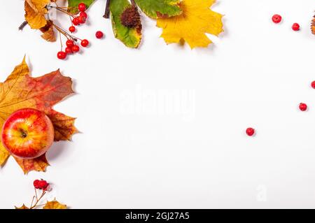 Herbstliche Kunstkomposition - abwechslungsreiche getrocknete Blätter, Kürbisse, Früchte, Vogelbeeren auf weißem Hintergrund. Herbst, Herbst, halloween, Danksagetag Konzept Stockfoto