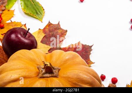 Herbstliche Kunstkomposition - abwechslungsreiche getrocknete Blätter, Kürbisse, Früchte, Vogelbeeren auf weißem Hintergrund. Herbst, Herbst, halloween, Danksagetag Konzept Stockfoto