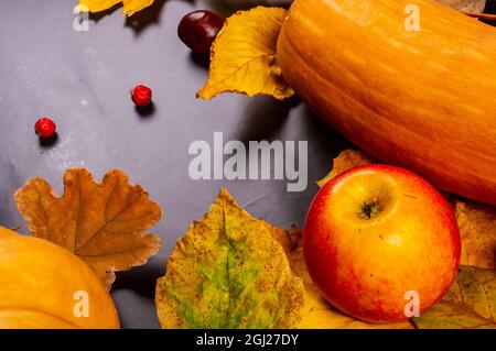 Herbstliche Kunstkomposition - abwechslungsreiche getrocknete Blätter, Kürbisse, Früchte, Vogelbeeren auf schwarzem Hintergrund. Herbst, Herbst, halloween, Danksagetag Konzept Stockfoto