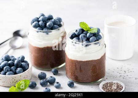 Gesunder Schoko-Chia-Pudding mit Schokoladenpudding und griechischem Joghurt mit Heidelbeeren in einem Glas, Nahaufnahme. Snack Frühstück Lebensmittel reich an Omega Stockfoto