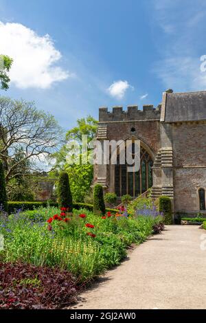 Farbenfrohe krautige Grenzen im ummauerten Garten der Bishop's Palace Gardens in Wells, Somerset, England, Großbritannien Stockfoto