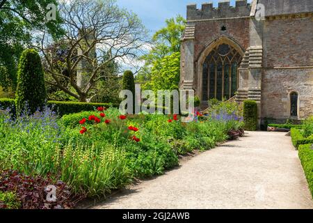 Farbenfrohe krautige Grenzen im ummauerten Garten der Bishop's Palace Gardens in Wells, Somerset, England, Großbritannien Stockfoto