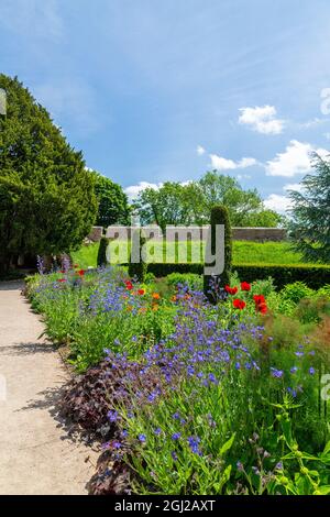 Farbenfrohe krautige Grenzen im ummauerten Garten der Bishop's Palace Gardens in Wells, Somerset, England, Großbritannien Stockfoto