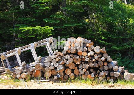 Ein Haufen von Baumstämmen am Rande einer Landstraße, vor einem immergrünen Wald. Stockfoto
