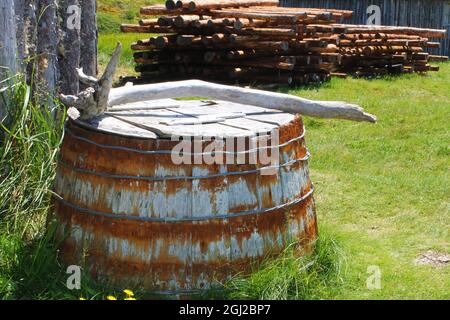 Ein altes Holzfass steht auf dem Gras, mit einem Stock über dem Boden. Ein Stapel von Baumstämmen im Hintergrund gestapelt. Stockfoto