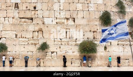 Jerusalem, Israel - 7. September 2021 - jüdisch-orthodoxe Gläubige lesen die Tora und beten vor der Westmauer, auch bekannt als Klagemauer in Stockfoto