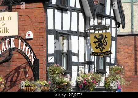 Hereford, Großbritannien - The Black Lion Inn eine alte Kneipe aus dem 16. Jahrhundert mit Holzrahmen Stockfoto