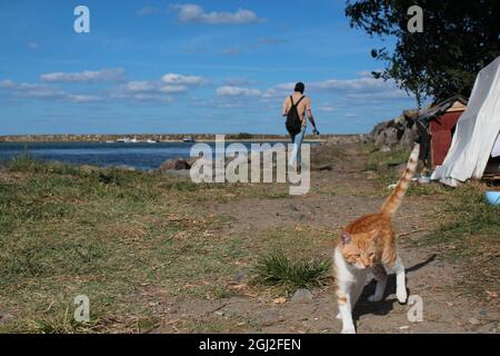 Der Mensch übergibt seine Katze in die Katzenzelte. Traurige Katze verlässt seinen Besitzer. Stockfoto