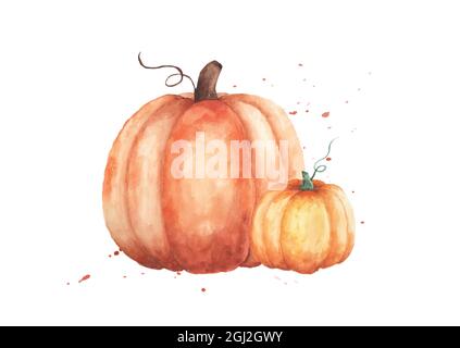 Aquarell-Kürbisse-Illustration. Set aus zwei orangefarbenen Kürbissen mit handbemalten isolierten auf weißem Hintergrund. Perfekt für Design dekorativ in der autu Stock Vektor