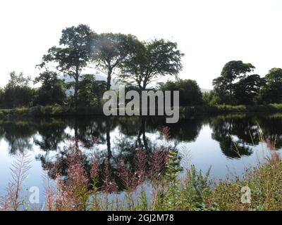 Eine Reihe von Bäumen spiegelte sich im Wasser des Caledonischen Kanals, während man den Treidelpfad zwischen Banavie und Corpach entlang ging. Stockfoto