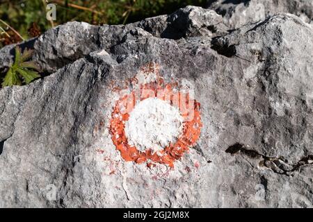 Wegmarkierung in den Julischen Alpen in Slowenien, die den richtigen Weg für Trekking im Wald zeigt. Stockfoto