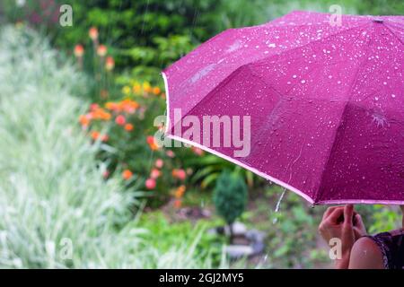 Eine junge Frau mit einem lila Regenschirm im Park an einem regnerischen Sommertag Stockfoto