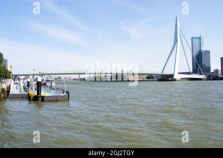 Erasmusbrug im Zentrum von Rotterdam über den Fluss Nieuwe Maas Stockfoto