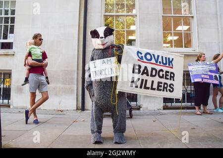 London, Großbritannien. September 2021. Die Demonstranten versammelten sich vor Defra (Ministerium für Umwelt, Ernährung und ländliche Angelegenheiten) und forderten Gerechtigkeit für den kürzlich getöteten Geronimo, den Alpaka, und forderten Defra auf, die Dachsküllung zu stoppen. (Kredit: Vuk Valcic / Alamy Live News) Stockfoto