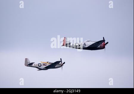 F-51D Mustang und P47D Thunderbolt im Nahformationsflug Stockfoto