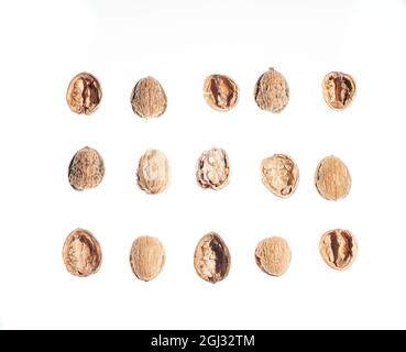 Draufsicht auf drei Reihen und fünf Spalten von Walnüssen oder Teilen von Walnussschalen, leer, offen, ungeöffnet, mit dem essbaren Teil. Auf weißem Hintergrund. Konz Stockfoto