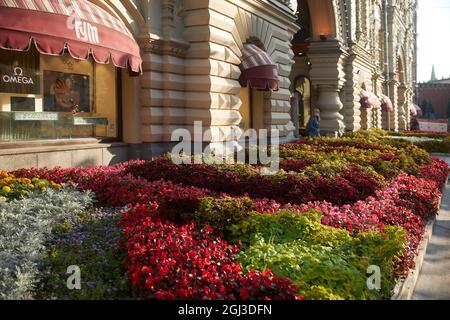 Moskau, Russland - 31. August 2021, Blumenbeete mit Begonien und verschiedene Arten von Coleus in roten Tönen schmücken den Eingang zum KAUGUMMI auf der Nikolskaja Straße Stockfoto