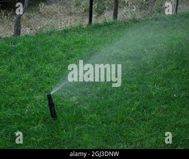 Automatische Sprinkleranlage zur Bewässerung des Rasens auf einem Hintergrund von grünem Gras aus nächster Nähe Stockfoto
