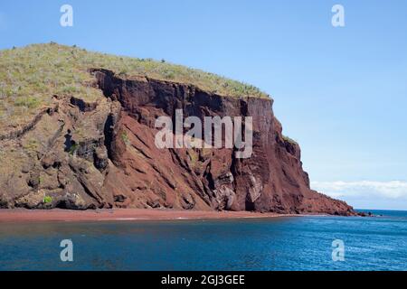 Rabida Island rote Klippe und Strand aus vulkanischem Lavagestein in den Galapagos gebildet. Bäume auf dem Hügel sind Palo Santo (Bursera graveolens) Stockfoto