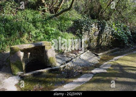 Britische Kanalinseln. Guernsey. Klippenpfad in der Nähe der Bucht von Moulin Huet. Courtes Fallaizes - Abreveur et Fontaine. Stockfoto